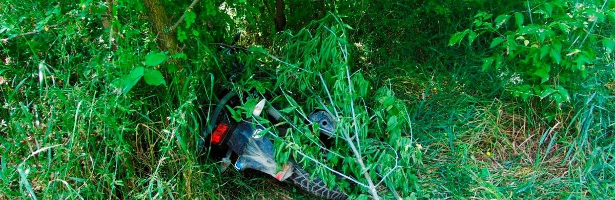 Викрав мопед і сховав у кущах: на Буковині викрили неповнолітнього зловмисника