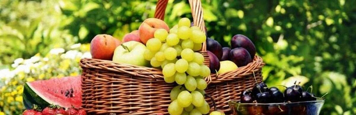 Буковина лідирує у виробництві плодово-ягідної продукції