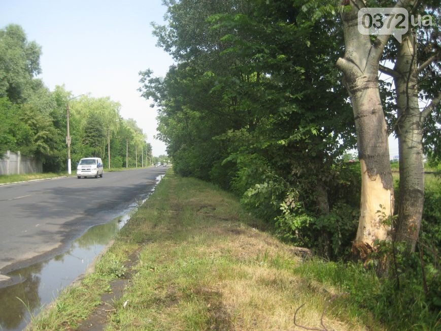 У Ленківцях сталося ДТП зі смертельним результатом (фото) - фото 1